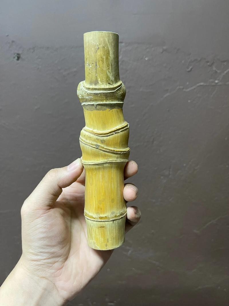 哪里能买到实心竹子品种?-图1 哪里能买到实心竹子品种?-图1