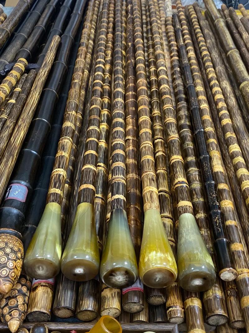 哪里能买到实心竹子品种?-图3 哪里能买到实心竹子品种?-图3