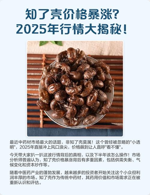 2025年知了市场价格会涨还是跌?-图1 2025年知了市场价格会涨还是跌?-图1