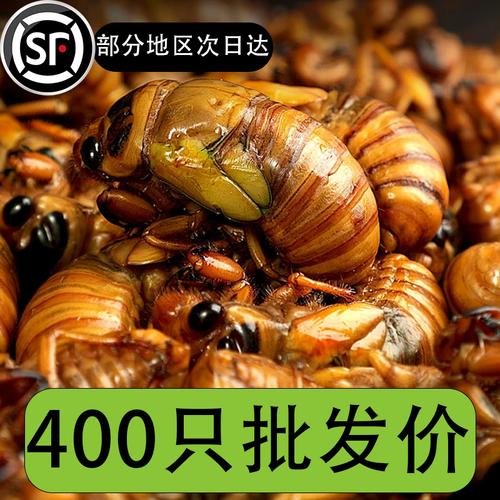 2025年知了市场价格会涨还是跌？-图3