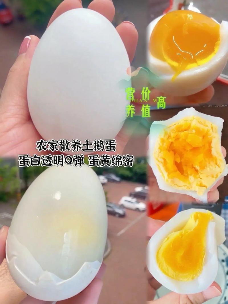 2025鹅蛋最新价格是多少？-图3