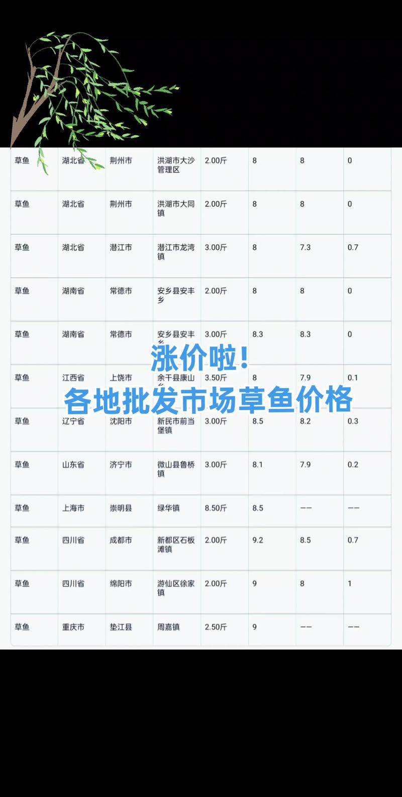 2025湖北草鱼价格-图1