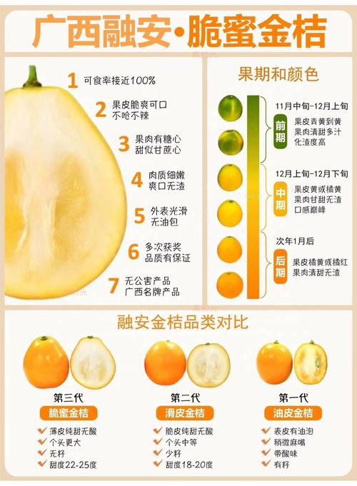 最好桔子品种是哪个？-图2