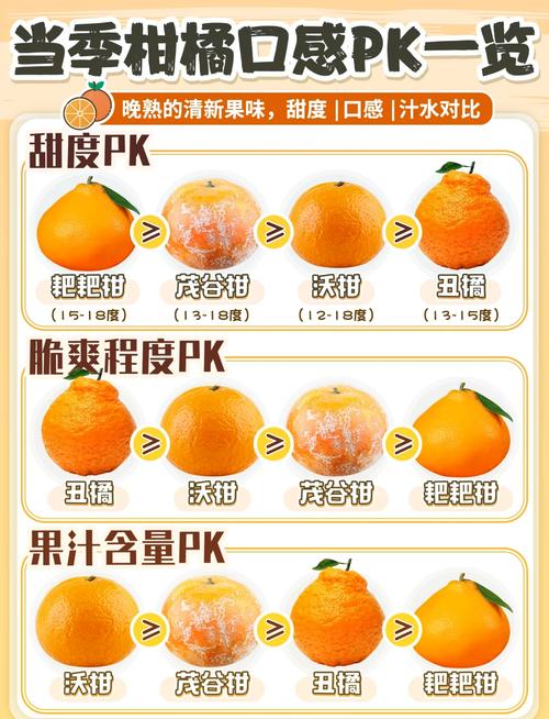 最好桔子品种是哪个？-图3
