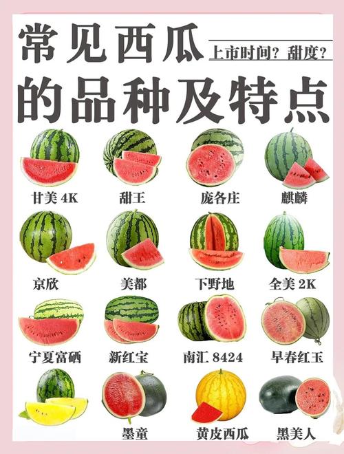 西瓜都有什么品种名字-图1
