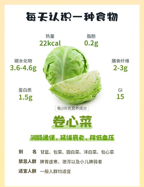 秋卷心菜高产种植技术要点有哪些？-图3