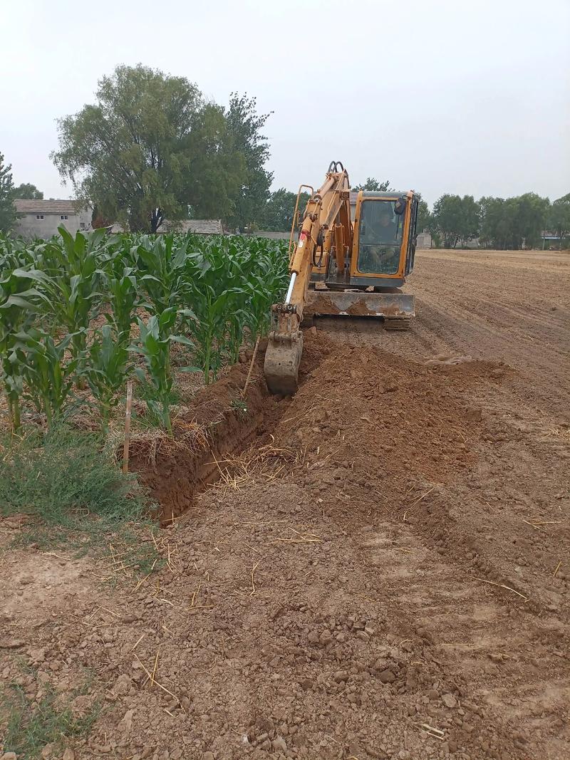 2025蚯蚓养殖技术有哪些新突破?-图2 2025蚯蚓养殖技术有哪些新突破?-图2