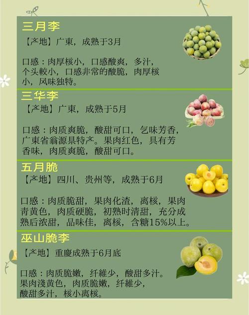 北方常见李子品种有哪些?-图2 北方常见李子品种有哪些?-图2