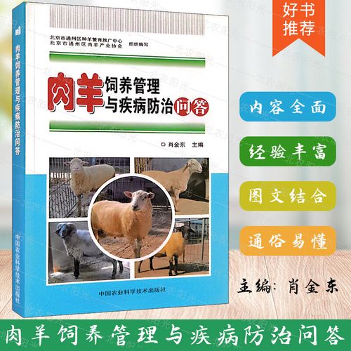 肉羊繁殖技术规程有哪些关键要点?-图1 肉羊繁殖技术规程有哪些关键要点?-图1