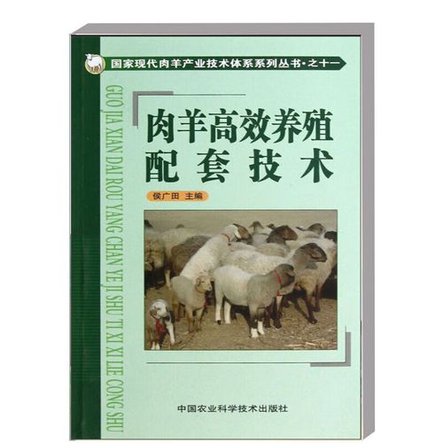 肉羊繁殖技术规程有哪些关键要点?-图2 肉羊繁殖技术规程有哪些关键要点?-图2