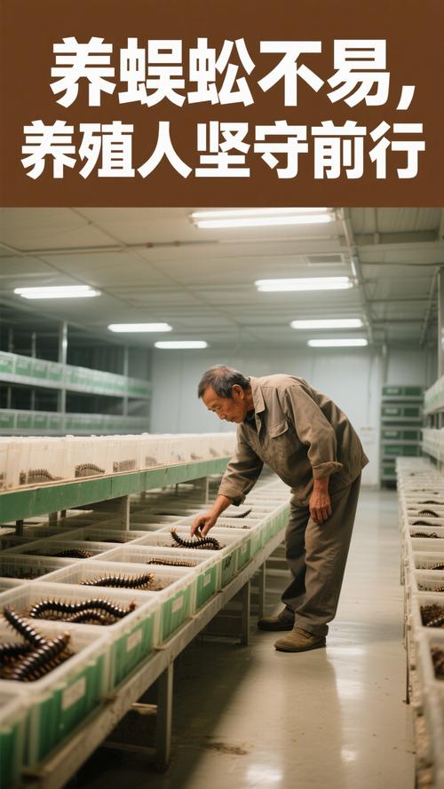 CCTV蜈蚣养殖技术如何掌握关键要点？-图2