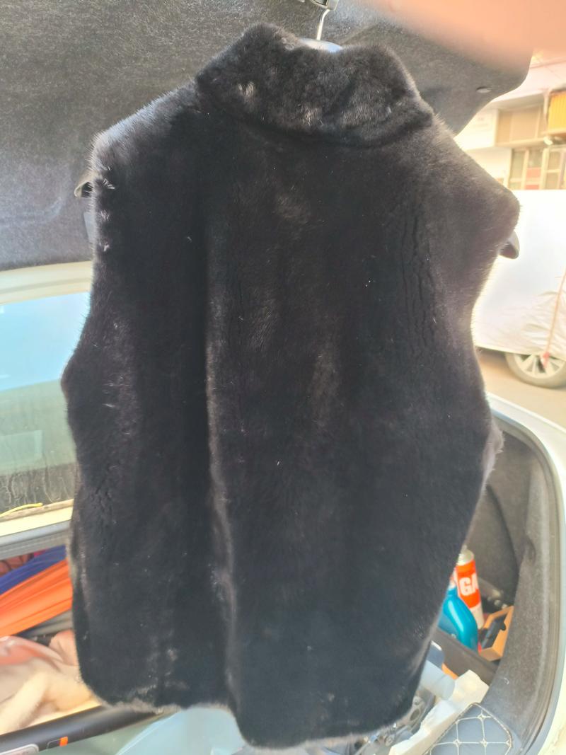 2025年貂皮价格会涨还是跌?-图2 2025年貂皮价格会涨还是跌?-图2