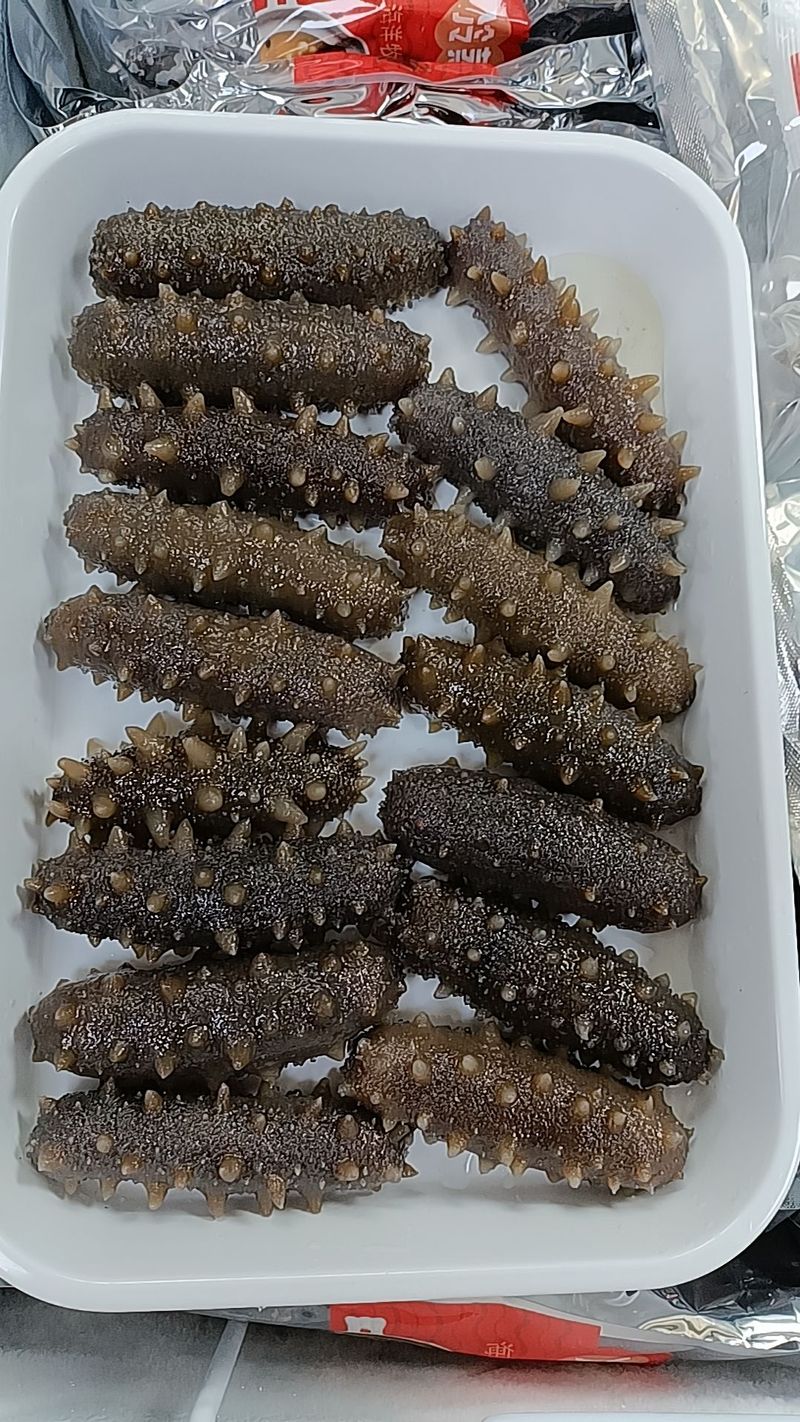 莱州海参2025价格会涨还是跌？-图2