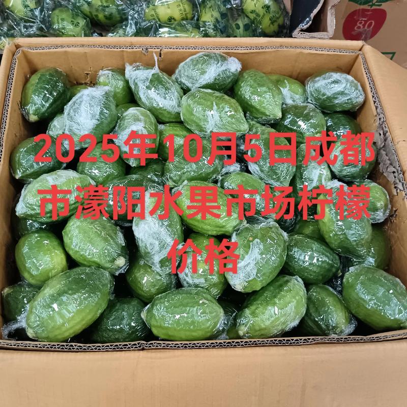 2025柠檬价格会涨还是跌？-图1