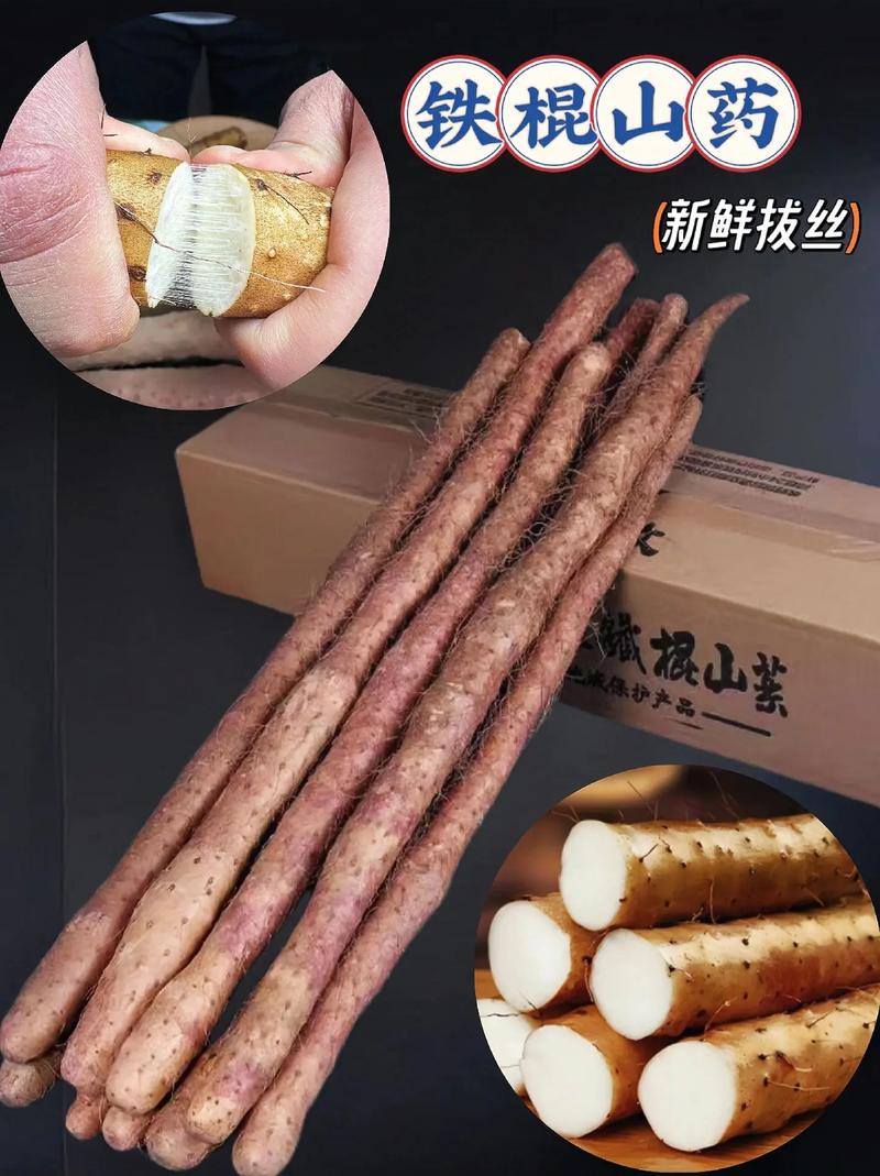 园山药优良品种有哪些?-图3 园山药优良品种有哪些?-图3