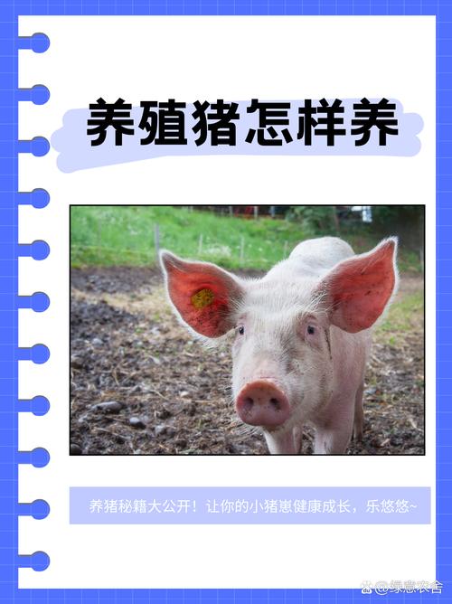 益生菌如何赋能生态养猪？-图2