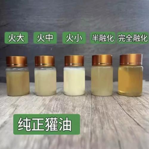 新疆养獾技术难点有哪些？-图1