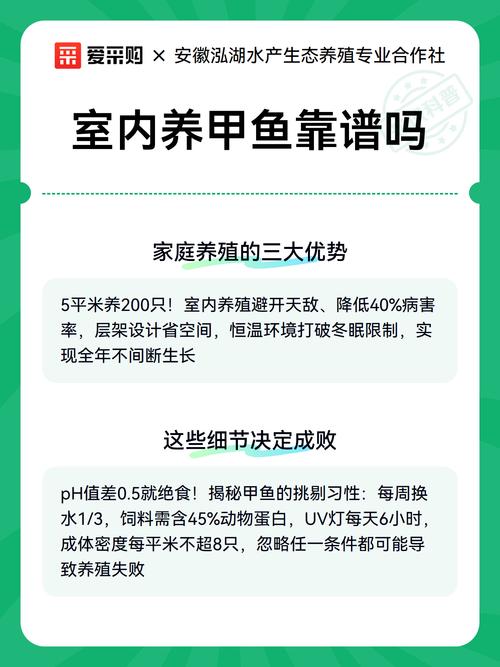甲鱼养殖怎么选品种、控水质、防病害?-图1 甲鱼养殖怎么选品种、控水质、防病害?-图1