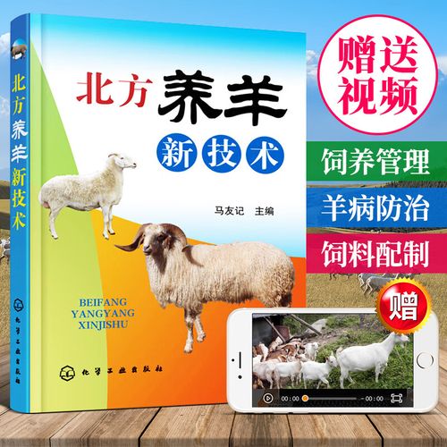 小尾寒羊养殖技术核心要点有哪些？-图1