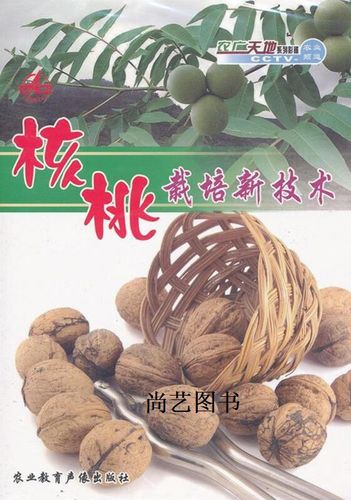 CCTV核桃种植技术有哪些要点？-图1