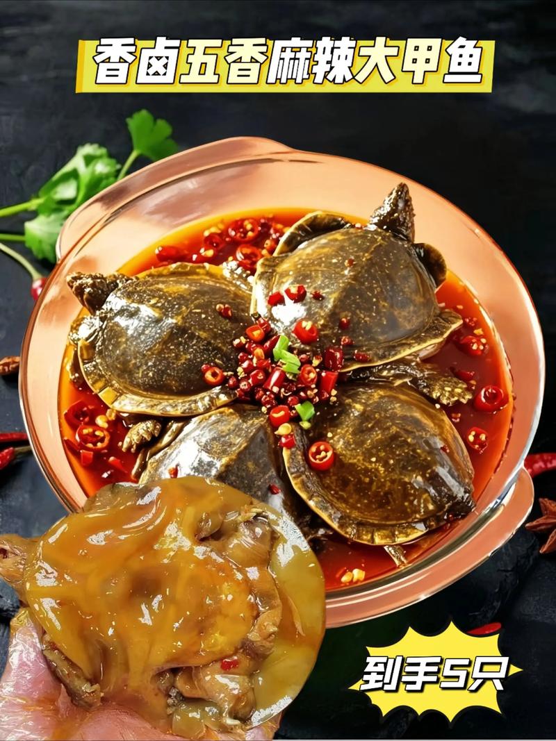 2025年北京甲鱼价格会涨还是跌?-图2 2025年北京甲鱼价格会涨还是跌?-图2