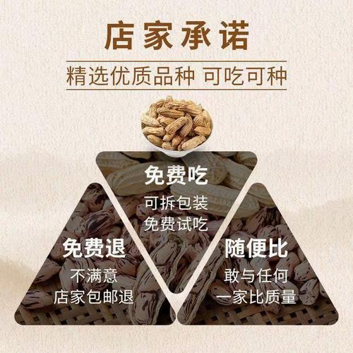 花生2025年价格会涨还是跌？-图1