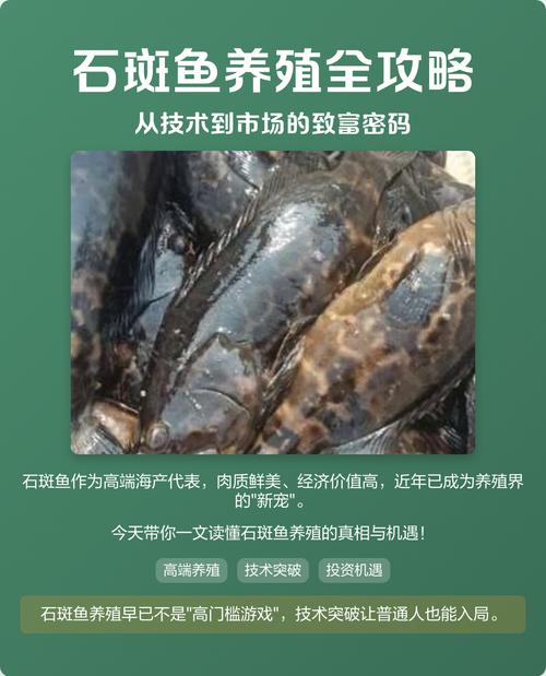 .石斑育苗技术视频.-图3 .石斑育苗技术视频.-图3