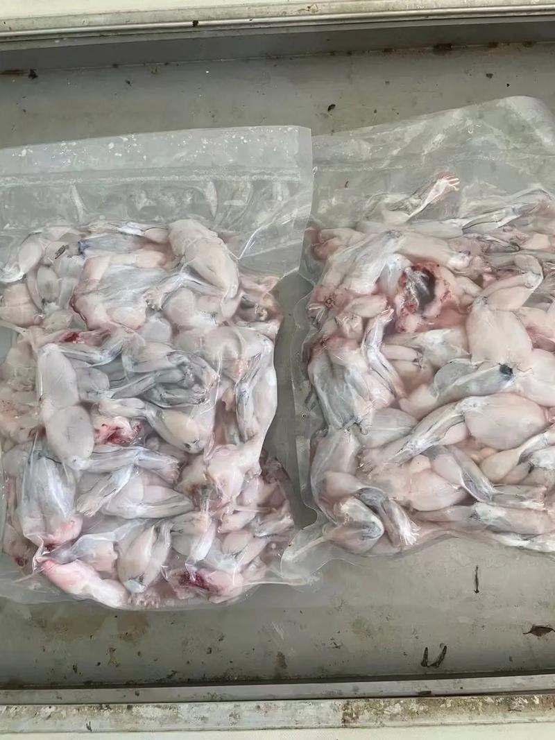 2025牛蛙最新价格多少钱一斤？-图1