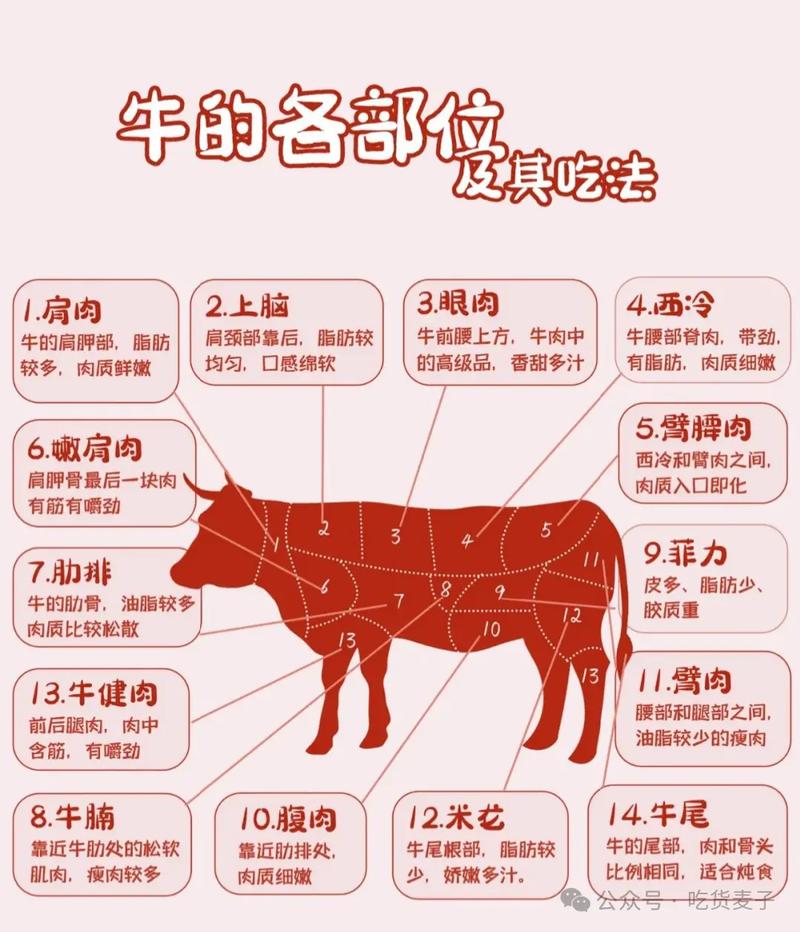肉牛养殖技术核心要点有哪些？-图1