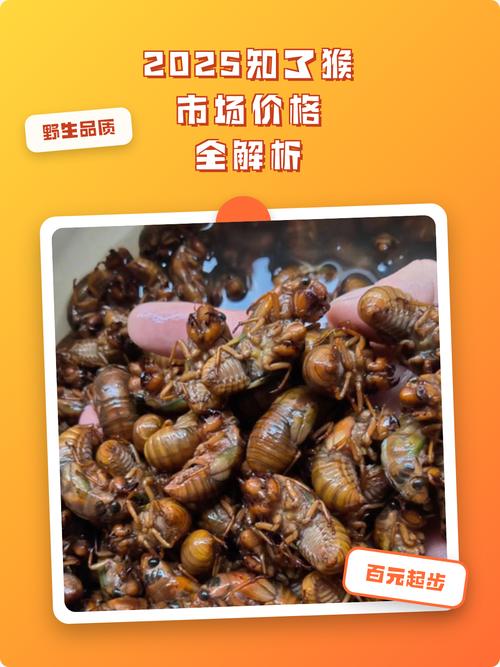 陕西2025年知了价格会涨还是跌？-图1