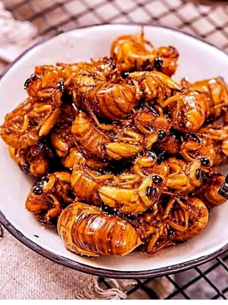 陕西2025年知了价格会涨还是跌？-图3