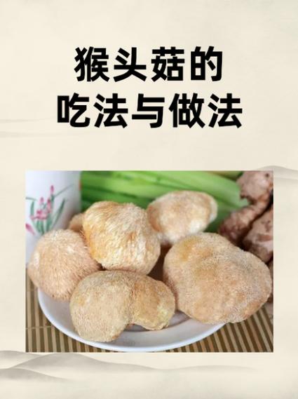 猴头菇栽培技术有哪些关键要点？-图2