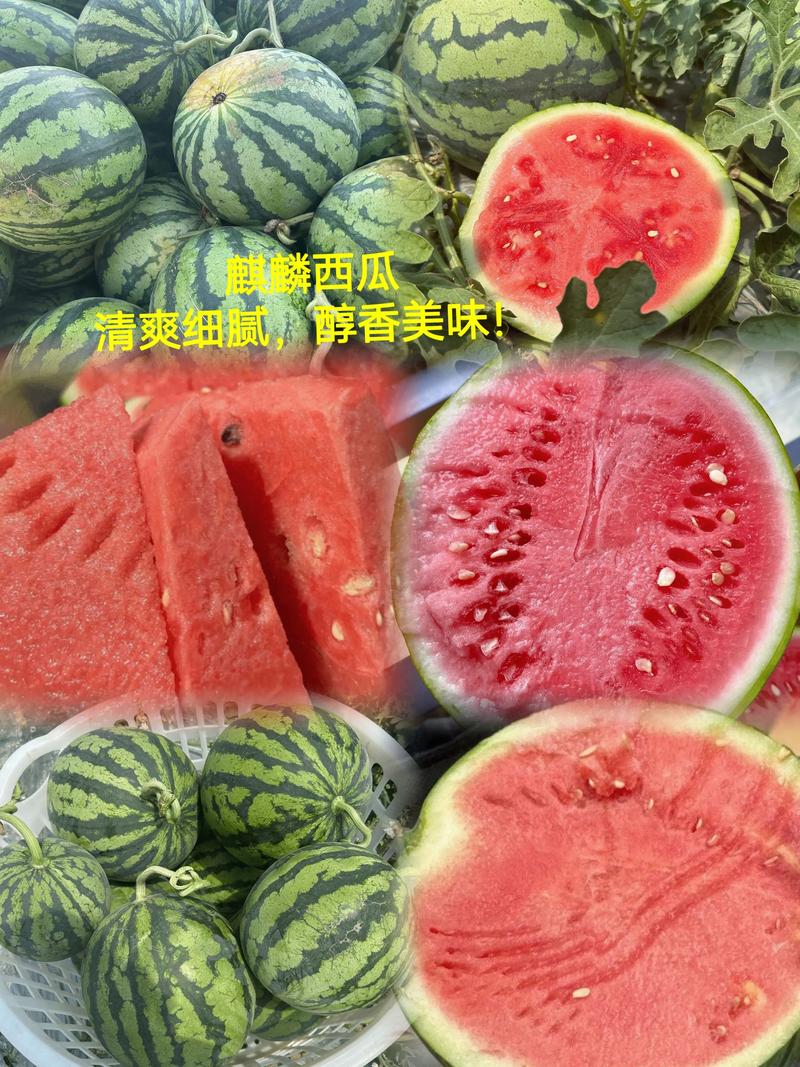 麒麟西瓜品种知多少？-图3