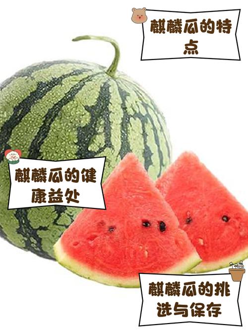 麒麟西瓜品种知多少？-图2