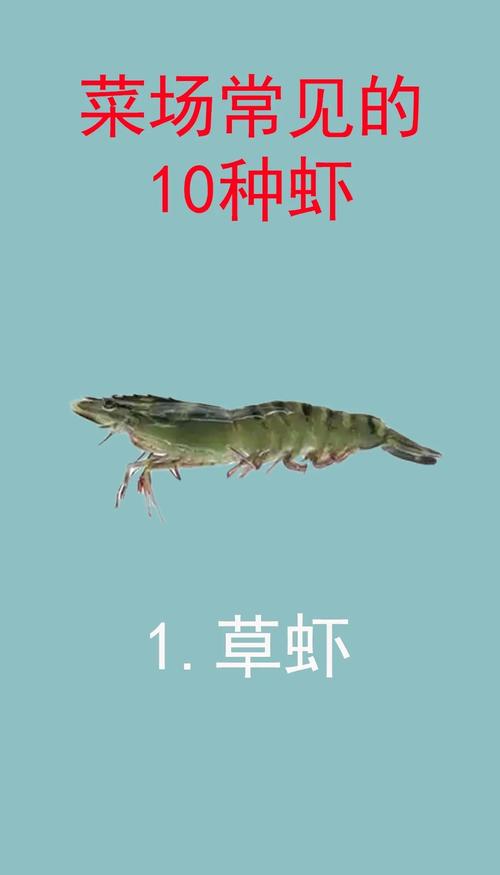 哪些虾品种无法人工养殖?-图1 哪些虾品种无法人工养殖?-图1