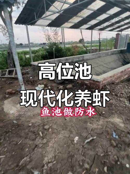 水泥池养小龙虾，关键技术有哪些？-图3