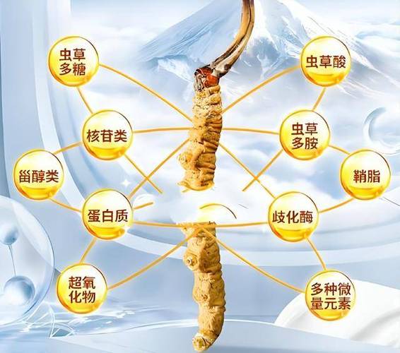 人工培植冬虫夏草价格贵不贵？-图1