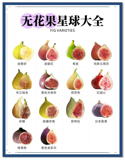 无花果种植最多的是哪个品种？-图1
