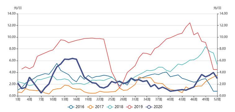 817鸡价格行情最新走势如何？-图3