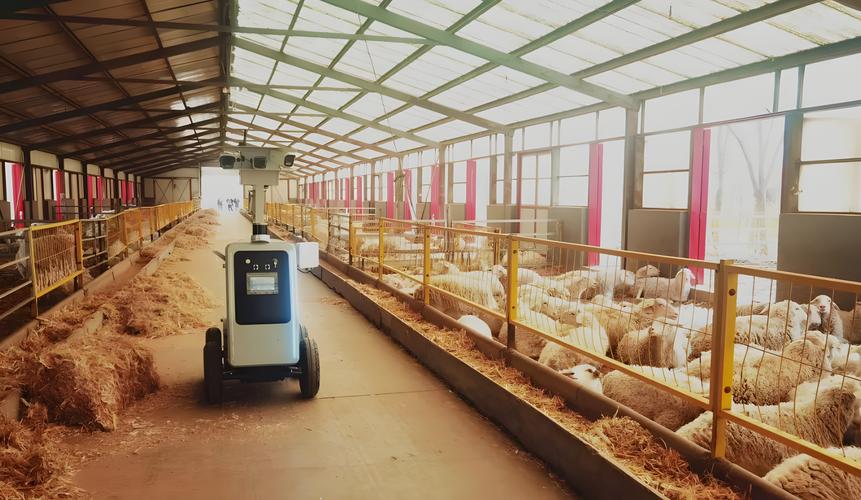 高效益生物链养殖技术如何实现？-图1