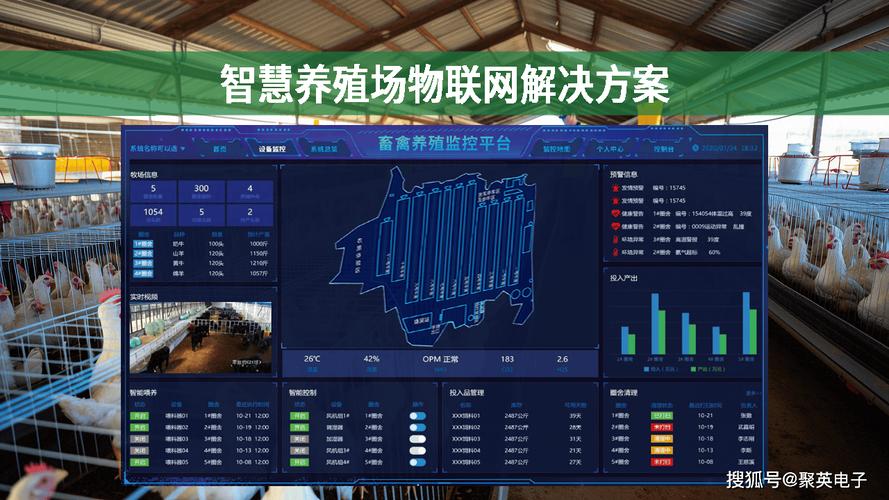 高效益生物链养殖技术如何实现？-图2
