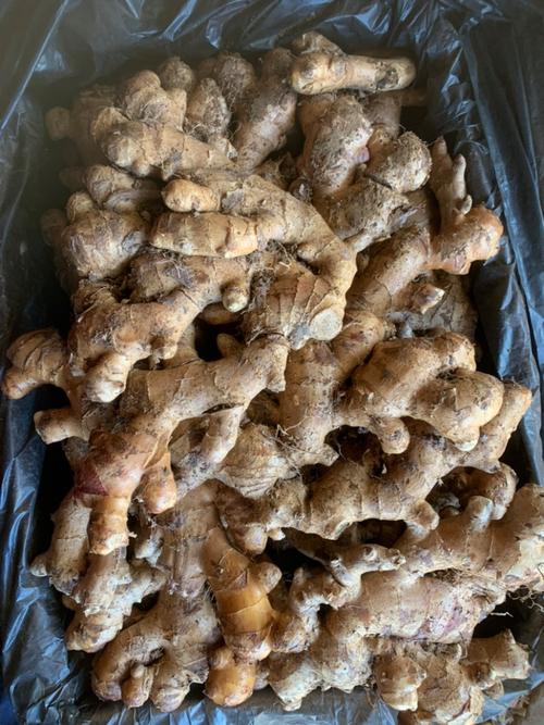 2025年广西生姜价格会涨还是跌？-图2