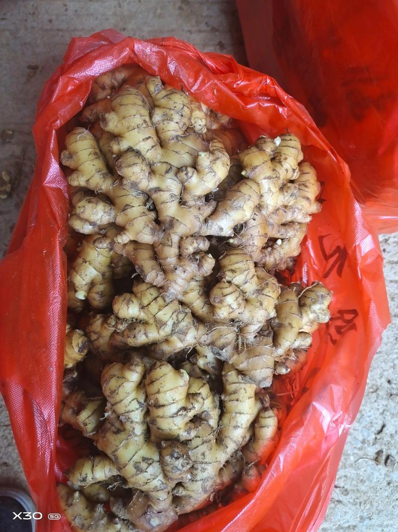 2025年广西生姜价格会涨还是跌？-图3