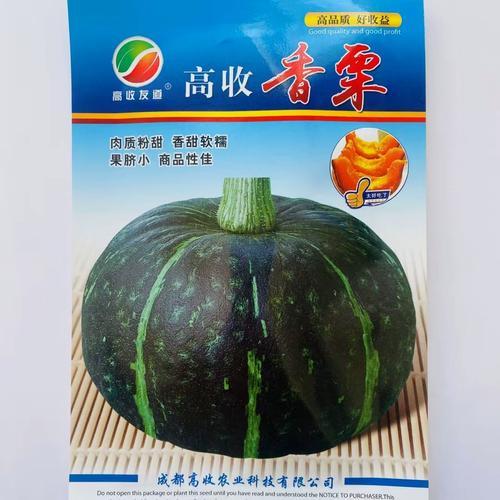 高产南瓜品种有哪些？-图2