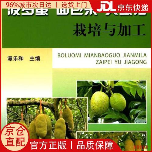 菠萝蜜种植加工技术有哪些关键要点？-图1