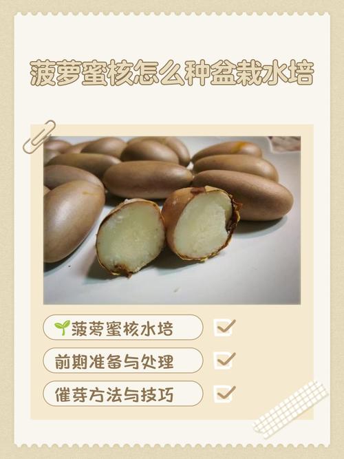 菠萝蜜种植加工技术有哪些关键要点？-图2