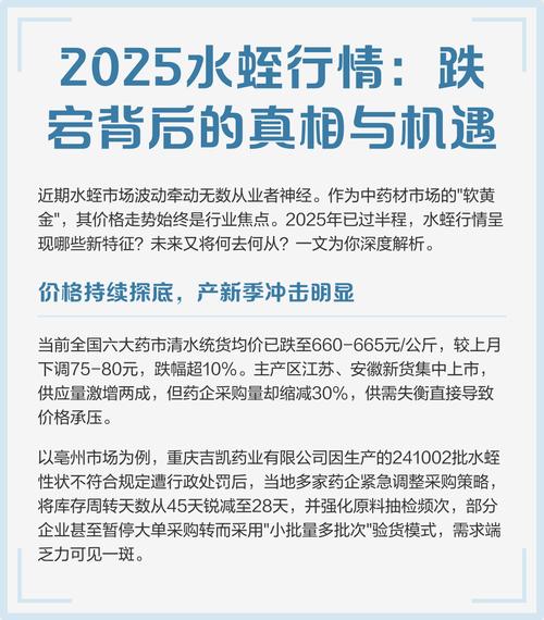 2025水蛭价格会涨还是跌？-图1