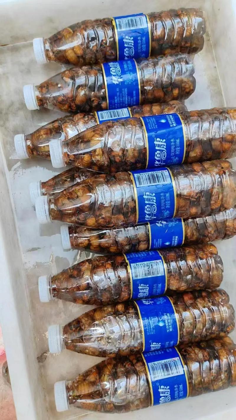 2025知了猴皮价格会涨还是跌？-图2