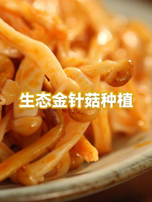 金针菇栽培技术要点有哪些关键步骤？-图2