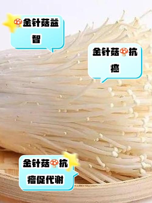 金针菇栽培技术要点有哪些关键步骤？-图3